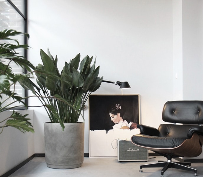 Sfeerbeeld van Staats Huysen Makelaars in Hoofddorp